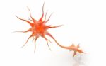 3d Neuron Cell Stock Photo