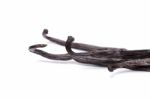 Vanilla Pods Stock Photo