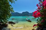 Long Tail Boats On Phi Phi Island Stock Photo