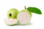 Guava  On White Background Stock Photo