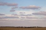 Dry Arid Landscape Stock Photo