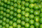 Limes Stock Photo