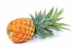 Pineapple Stock Photo