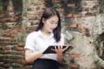 Portrait Of Thai Adult Student University Beautiful Girl Using Her Tablet Stock Photo