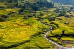 Rice Fields And A River Stock Photo