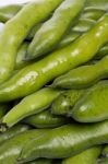 Broad Beans Stock Photo