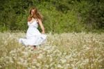 young Woman In Meadow Stock Photo