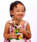 Child Holding Her Pet Chihuahua Stock Photo