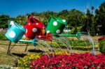 Colorful Of Watering Can Stock Photo