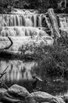 Liffey Falls In The Midlands Region, Tasmania Stock Photo