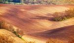 Abstract Pattern Texture Of Rolling Wavy Fields In Spring. Sprin Stock Photo