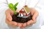 Small House And Plant In Hands Stock Photo