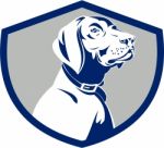 Dog Pointer Head Profile Side Crest Retro Stock Photo