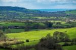 Scenic View Of The Undulating Countryside Of Somerset Stock Photo