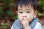 Asian Baby Stock Photo