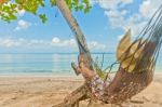 Woman In Hammock Stock Photo