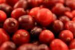 Cranberries Stock Photo