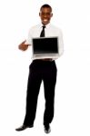 Smiling Executive Pointing Laptop Stock Photo