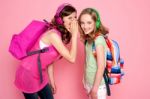 Schoolgirls Sharing Secret Stock Photo