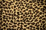 Leopard Skin Background Stock Photo