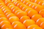 Lines Of Many Oranges In Rows Stock Photo