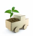 Seedling In Car Stock Photo