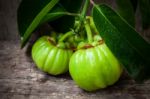 Still Life With Fresh Garcinia Cambogia On Wooden Background (th Stock Photo