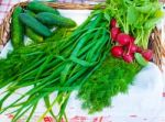 Green Onions, Radishes And Cucumbers On A Table Stock Photo