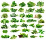 Vegetables Collection Isolated On White Background Stock Photo