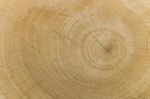 Rough Wood Grain Texture Stock Photo