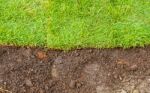 Green Grass And Brown Soil Landscape Stock Photo