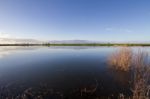 Spring Countryside Lake Landscape Stock Photo