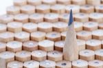 Group Of Pencils Stock Photo