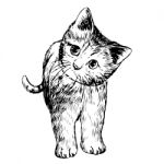 Freehand Sketch Illustration Of Little Cat, Kitten Stock Photo