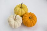 Pumpkin On White Background Stock Photo