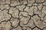 Mud Cracks Stock Photo