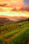 Rice Terraces With Sunset Backdrop At Ban Papongpieng Chiangmai Stock Photo