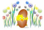 Easter Chick Stock Photo