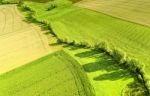 Green Countryside Stock Photo