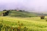 Val D'orcia, Tuscany/italy - May 22 : Scenery Of Val D'orcia In Stock Photo