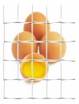 Eggs Stock Photo