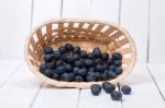 Tasty Blueberries On White Background Stock Photo