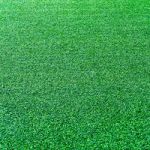 Artificial Grass Texture For Background Stock Photo