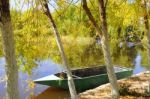 Autumn Scenery Near A Lake With Yellow Leaves On  Trees In Fall Stock Photo