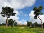 Ancient Ruins At Beeston Castle Stock Photo