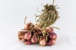 Shallots In White Background Stock Photo