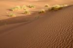 Sahara Desert Stock Photo