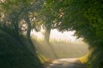 Country Lane Stock Photo