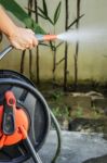 Watering Plant In Home Garden Stock Photo