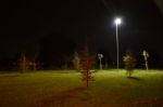 Night Public Park In The City With Houses Near Stock Photo